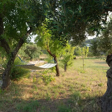 Trulli Don Peppe Sole * Cisternino